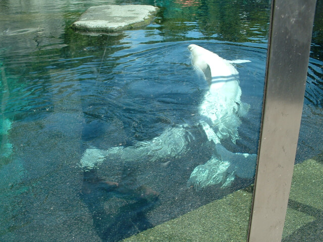 Stanley Park 5th view